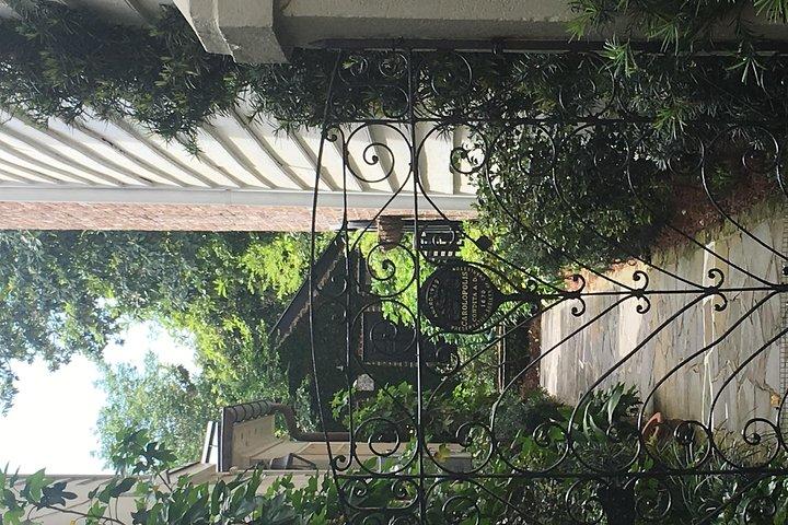 Charleston Walking Tours con Ann