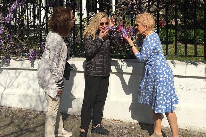 Charleston Walking Tours con Ann