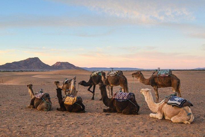 Tour del deserto di Zagora di 2 giorni da Marrakech