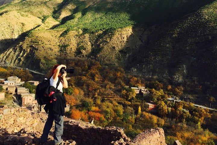 Udflugtsdagstur Fra Marrakech til Atlasbjergene