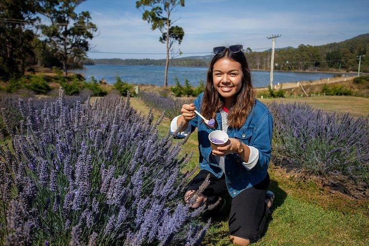 Port Arthur, Lavanda, Richmond & Penisola di Tasman