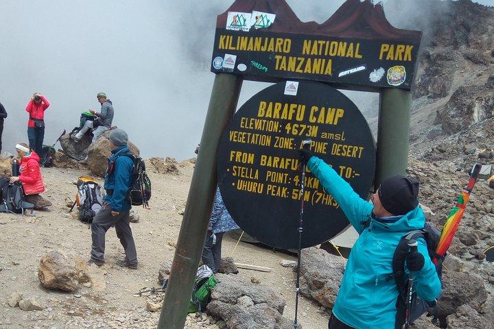 8 Days (7 Night) Lemosho Route