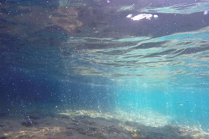 Schnorcheln zwischen den Unterwasserhöhlen von Ischia Ponte