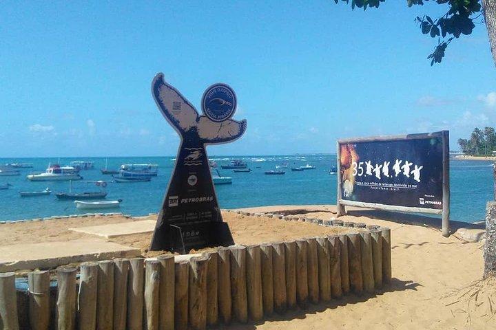 Tour regolare a Forte Beach - Lasciando Salvador da Bahia Top Turismo