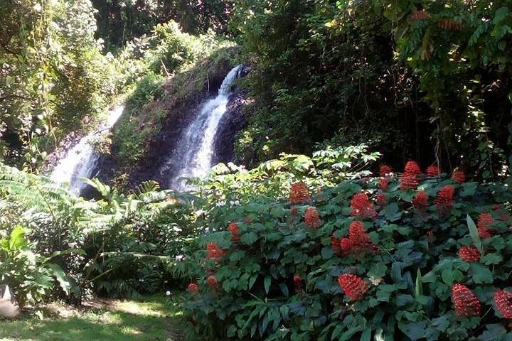 Private Entdeckung der Insel Tahiti