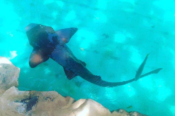 Tour regolare a Forte Beach - Lasciando Salvador da Bahia Top Turismo