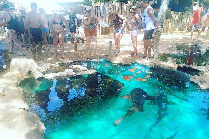 Tour regolare a Forte Beach - Lasciando Salvador da Bahia Top Turismo