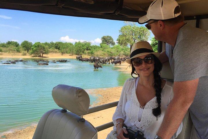 ヤーラサファリプライベート日帰り旅行（往復送迎付き）オールインクルーシブ