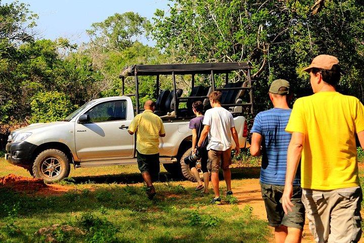 Leopard Safari Tour i Yala National Park