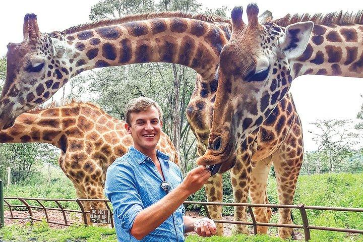Halbtagesgiraffencenter Nairobi