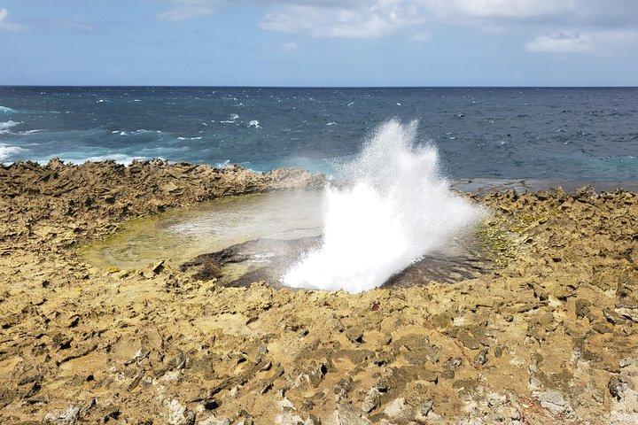 Curaçao Private Tour e Activity Experience (4 até 13 pessoas)