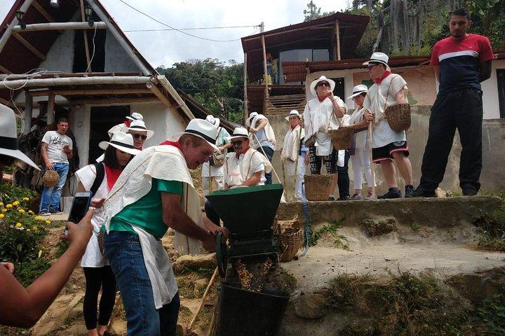 Coffee Tour & comuna 13 & cable car