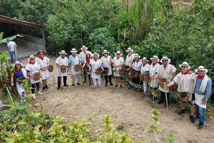 Coffee Tour y comuna 13 y teleférico