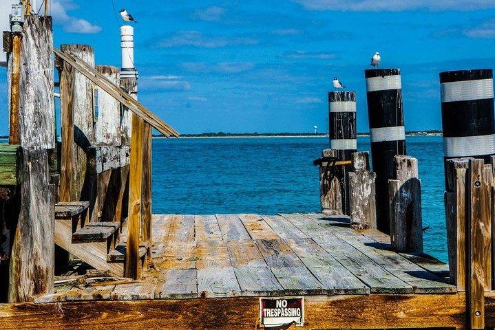 Egmont Key Schnorchel Delfin Tour
