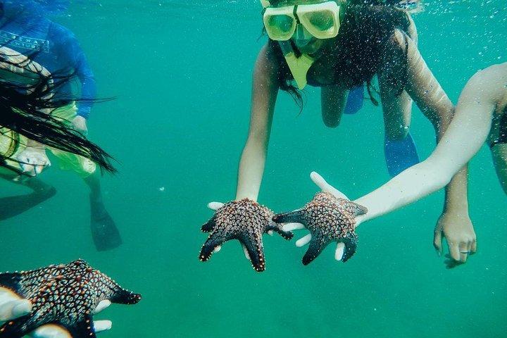 キャプテン島でのタマリンドカヌーツアー