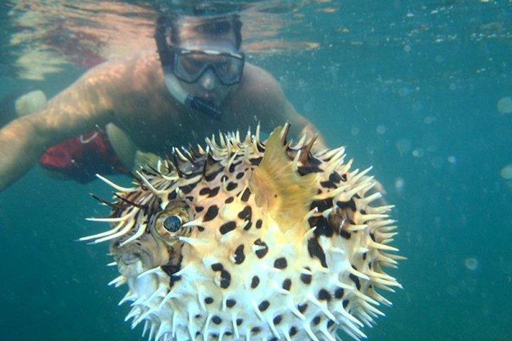 キャプテン島でのタマリンドカヌーツアー
