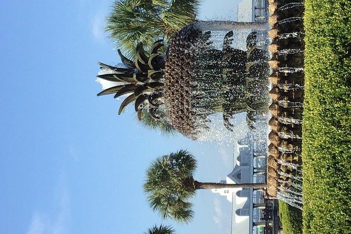 Charleston Walking Tours con Ann