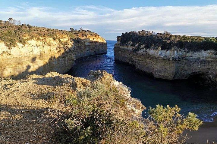 メルボルンコンボ：メルボルンからのグレートオーシャンロード日帰り旅行とフィリップ島の日帰り旅行