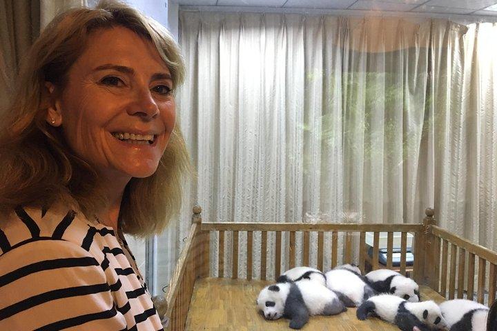 Private halbtägige Tour durch das Panda-Zuchtzentrum Chengdu mit optionaler Freiwilligenarbeit