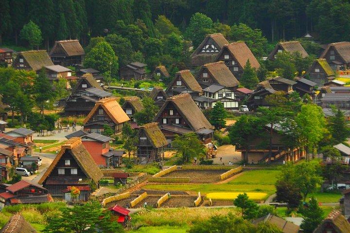 高山発白川号：専用車＆運転手、ガイドなし