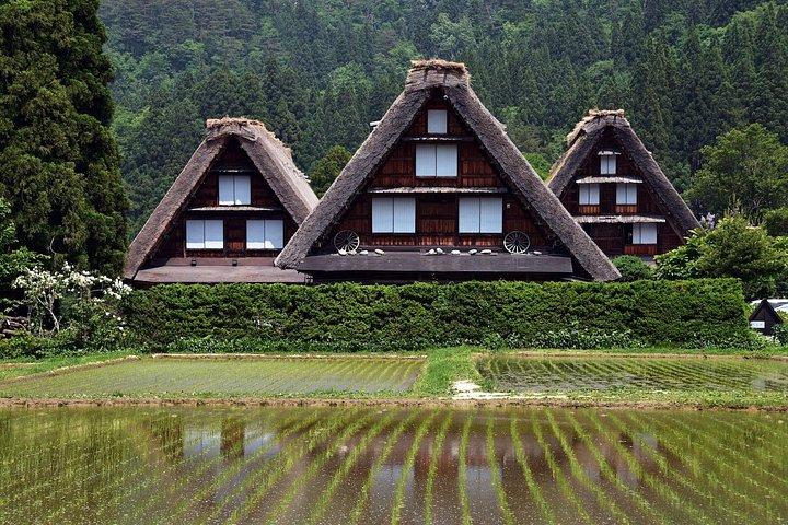 高山発白川号：専用車＆運転手、ガイドなし