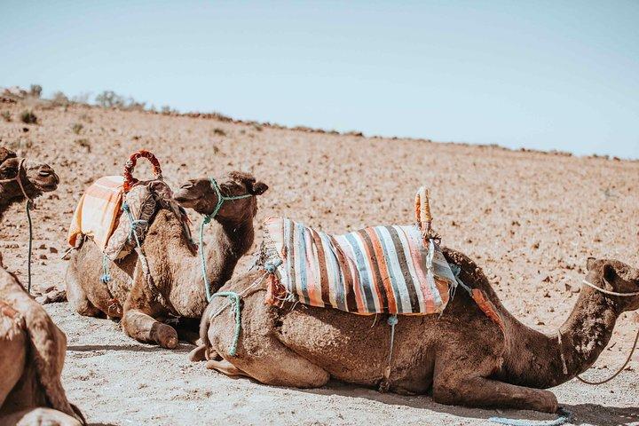 OuerzazatとMerzougaを介したマラケシュ4日間の砂漠ツアー