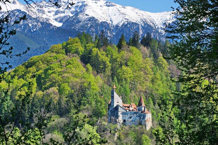 Privata filmslott vid Peles, Cantacuzino och Bran slottstur