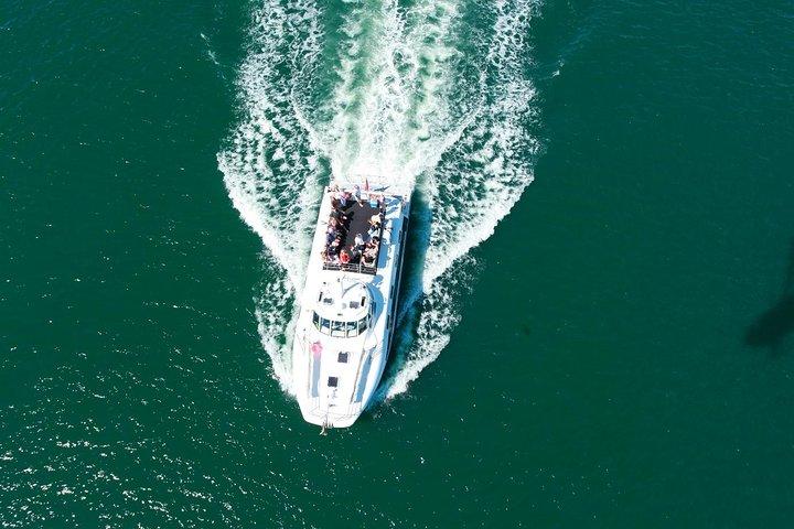Newcastle Whale Watching Cruise