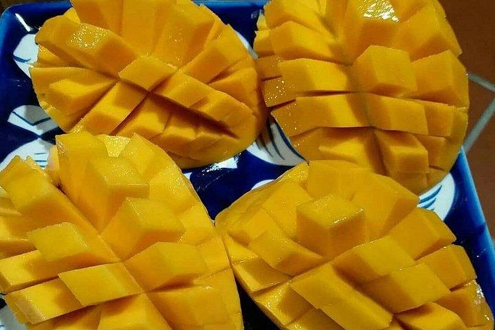 ホイアン/ダナン：ベジタリアン料理教室とバスケットボートツアー