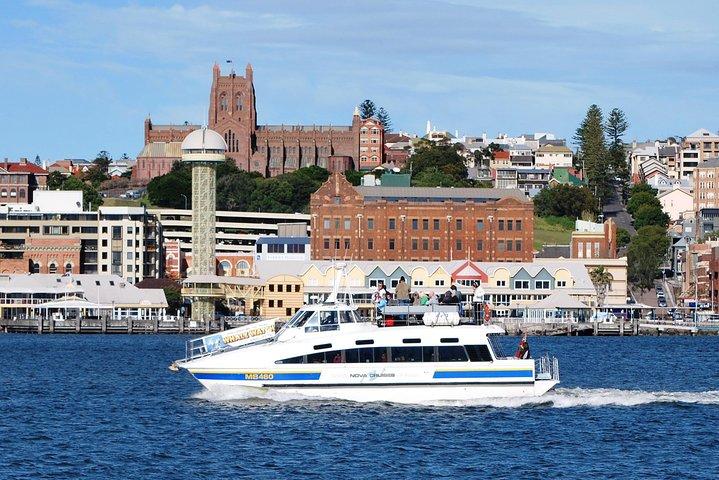 Newcastle Whale Watching Cruise