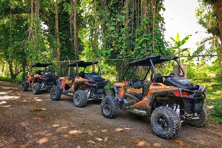 ATV, Safari, lokales Feld