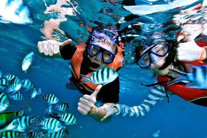 Schnellbootstour nach Koh Tao und Koh Nang Yuan mit Schnorcheln und Mittagessen