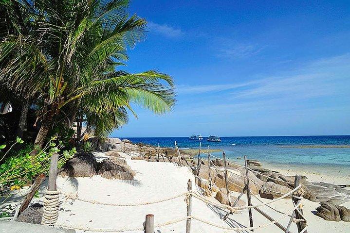 Schnellbootstour nach Koh Tao und Koh Nang Yuan mit Schnorcheln und Mittagessen