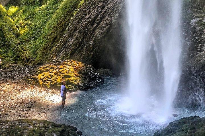 Multnomah Falls og Columbia River Gorge Halvdagstur