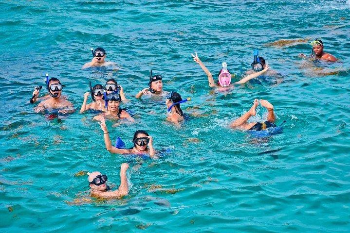 Catalina Island & Snorkling Tour Full Day All Inclusive