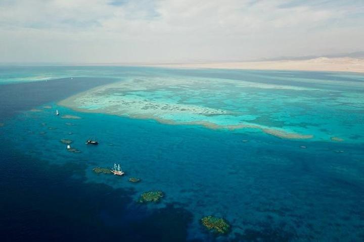 Gita in barca per lo snorkeling al Parco Nazionale di White Island e Ras Mohamed