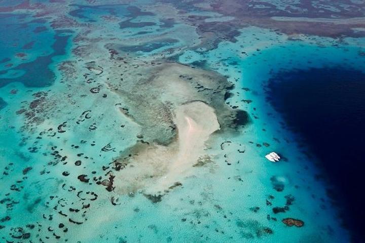 Gita in barca per lo snorkeling al Parco Nazionale di White Island e Ras Mohamed