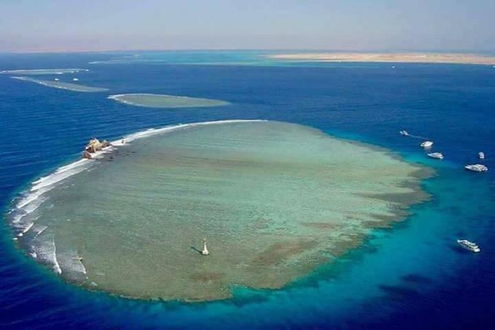 Gita in barca per lo snorkeling al Parco Nazionale di White Island e Ras Mohamed