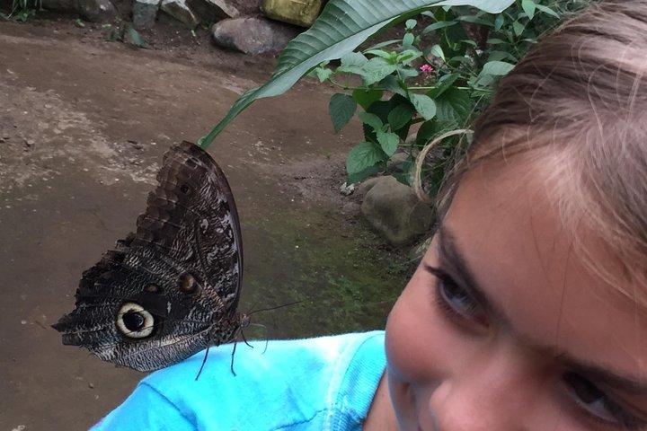 Mindo Cloud Forest & Adventure Tour