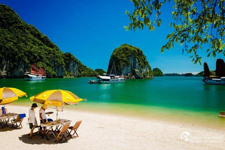 Lan Ha Bay Tour de 1 día