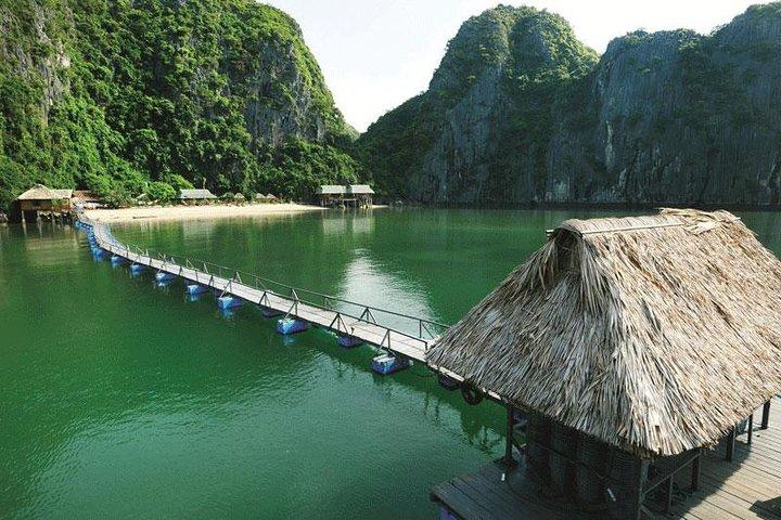 Lan Ha Bay Tour de 1 día