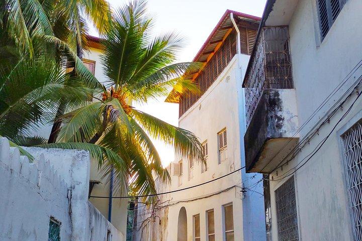 Visite de Stone Town à pied