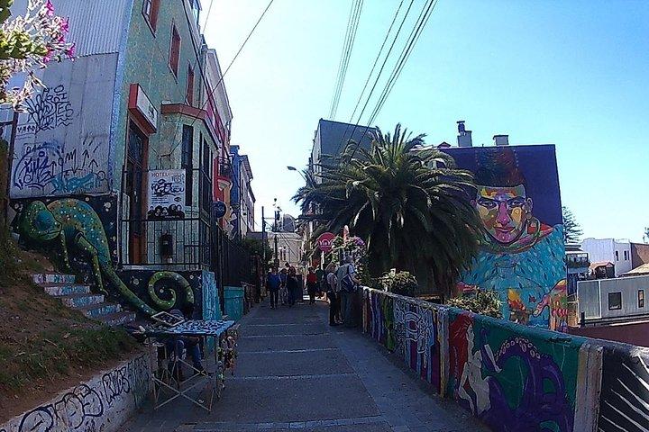 Privat tur: Lunch Valparaíso & Casas del Bosque Winery fra STGO