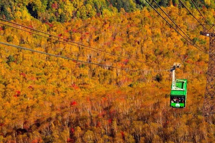 秋の大雪山国立公園および大雪山層雲峡・黒岳ロープウェイツアー