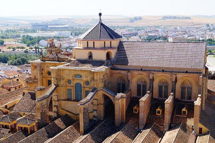 Tour privado de 3 horas a pie por Córdoba con guía turístico oficial