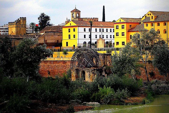 Tour privado de 3 horas a pie por Córdoba con guía turístico oficial