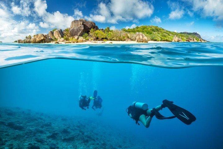 ニャチャン湾でのディスカバリー スキューバ ダイビング & シュノーケリング