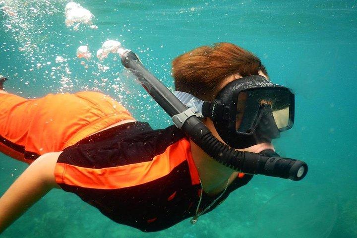 ニャチャン湾でのディスカバリー スキューバ ダイビング & シュノーケリング