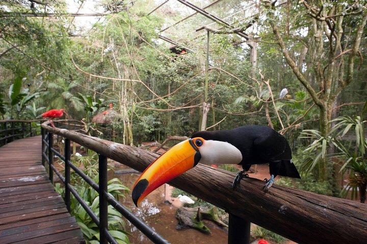 Bird Park & Iguassu Brazilian Side From Puerto Iguazú Hotels - Private Tour