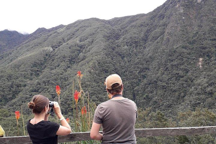 Cocora Valley: バード＆ハイキング（朝食＆ランチ付）